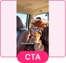 CTAs